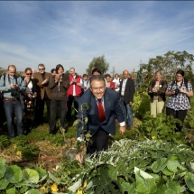 2011 burgemeester Aboutaleb plant boom