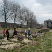 2012 permacultuur in de proeftuin