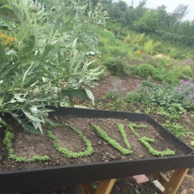 2019 liefde in de tuin