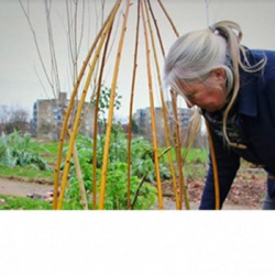 Stukje Goud in de tuin