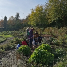 natuureducatie in de tuin - 2020 (Aangepast)