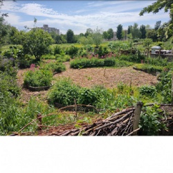 Buiten (spelen) in Zevenkamp