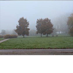 Nieuwsbrief Wollefoppengroen &co – januari 2026