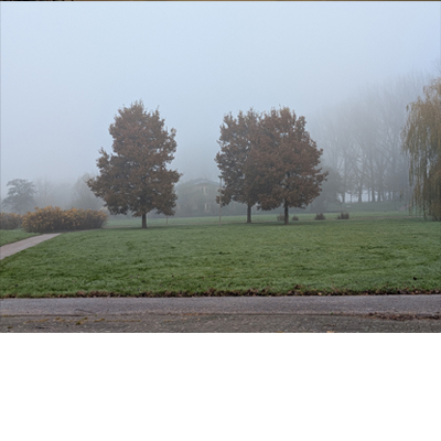 Nieuwsbrief Wollefoppengroen &co – januari 2026