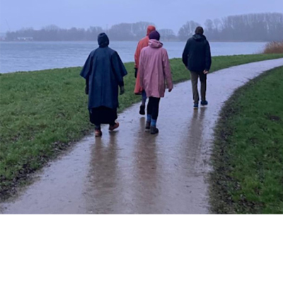 Wandelen, bomen en vogels en meer.